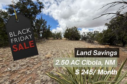 Undeveloped Land for sale in Cibola County, New Mexico
