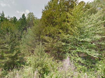 Undeveloped Land for sale in Cleveland County, North Carolina