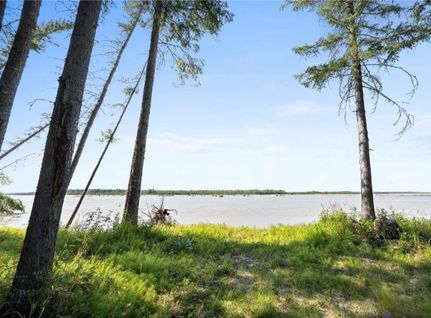 Undeveloped Land for sale in Fairbanks North Star Borough, Alaska