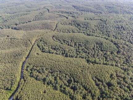 Property for sale in Lewis County, Tennessee