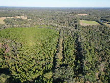 Hunting Land for sale in Holmes County, Florida