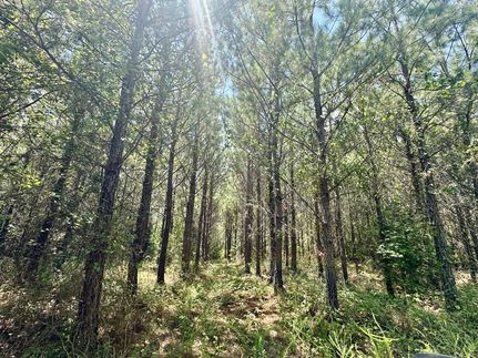 Timberland Property for sale in Hale County, Alabama