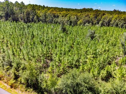 Property for sale in Liberty County, Florida