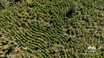 Property for sale in Jackson County, Florida