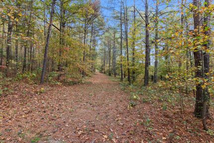 Property for sale in Tuscaloosa County, Alabama