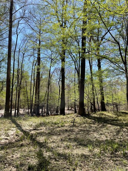Hunting Land for sale in Covington County, Alabama
