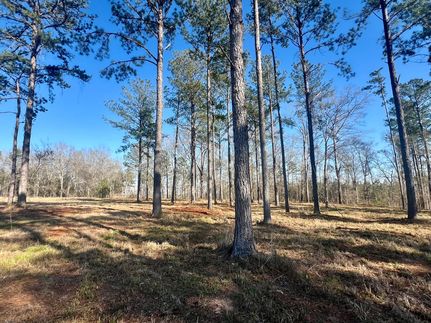 Property for sale in Pike County, Alabama