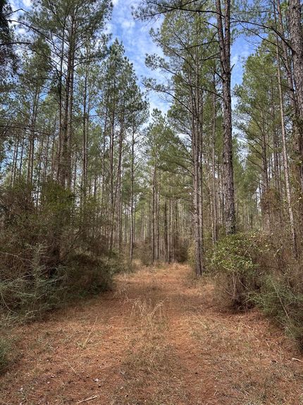 Farm Property for sale in Covington County, Alabama