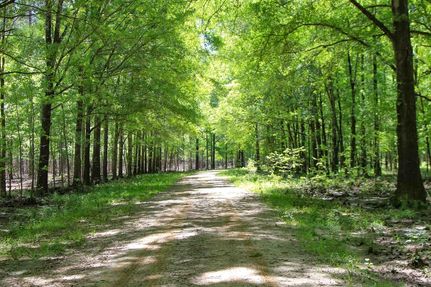 Timberland Property for sale in Bullock County, Alabama