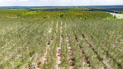 Property for sale in Jackson County, Florida