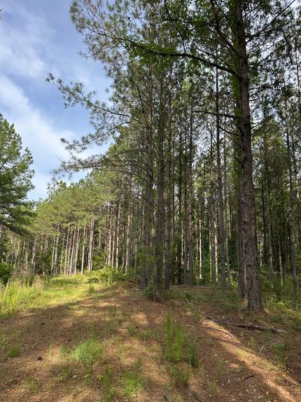 Property for sale in Conecuh County, Alabama