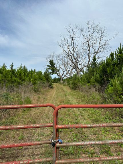 Property for sale in Conecuh County, Alabama