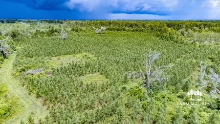 Property for sale in Jackson County, Florida