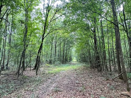 Timberland Property for sale in Montgomery County, Alabama