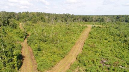 Undeveloped Land for sale in Butler County, Alabama
