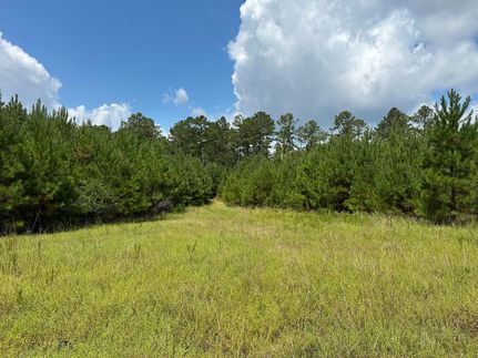 Timberland Property for sale in Dallas County, Alabama