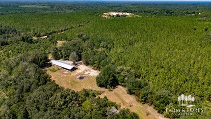 Timberland Property for sale in Washington County, Florida
