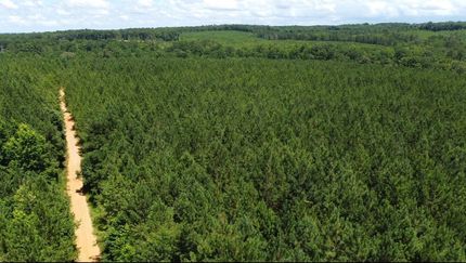 Property for sale in Tallapoosa County, Alabama