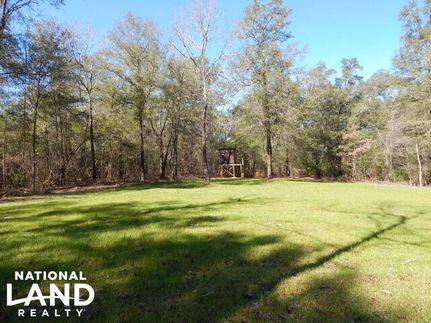 Timberland Property for sale in Mobile County, Alabama