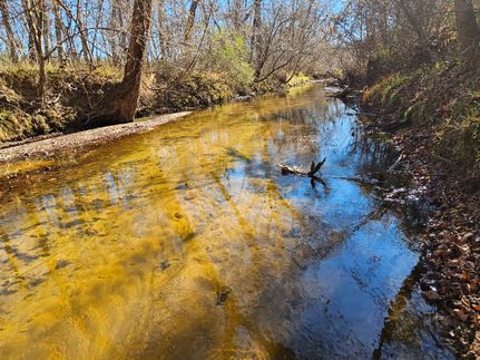 Riverfront Property for sale in Nottoway County, Virginia