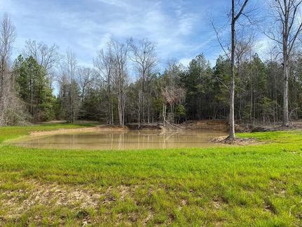 Lakefront Property for sale in Lincoln County, Mississippi