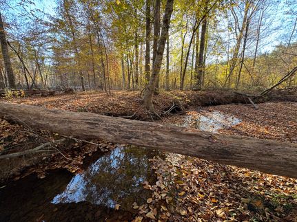 Property for sale in Tallapoosa County, Alabama