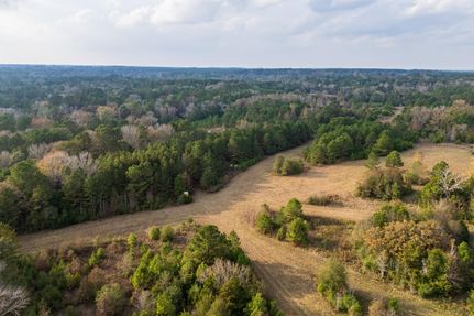Hunting Land for sale in Houston County, Texas