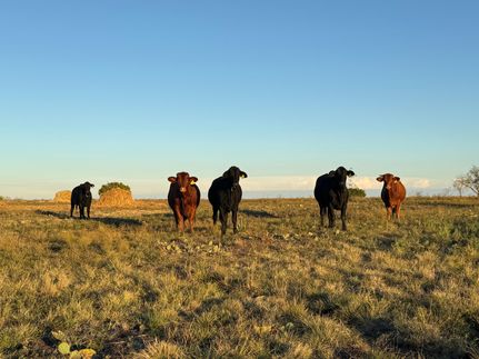 Ranch Property for sale in Hamilton County, Texas