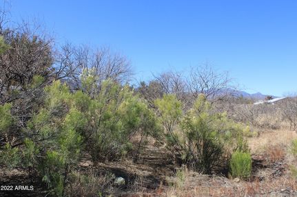 Undeveloped Land for sale in Cochise County, Arizona