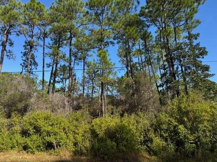 Property for sale in Santa Rosa County, Florida
