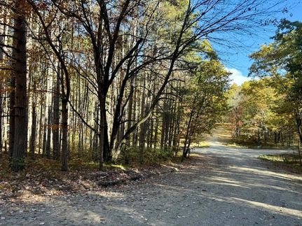 Recreational Property for sale in Mecosta County, Michigan