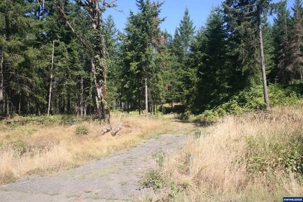 Undeveloped Land for sale in Marion County, Oregon