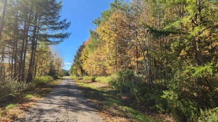 Ranch Property for sale in Livingston County, New York