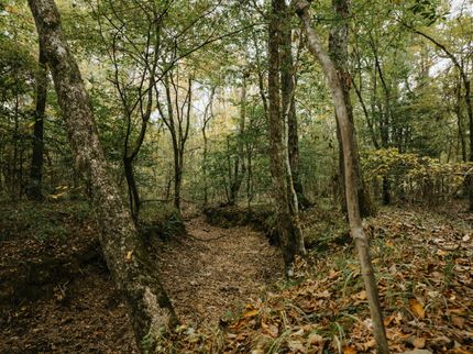 Residential Property for sale in Calhoun County, Arkansas