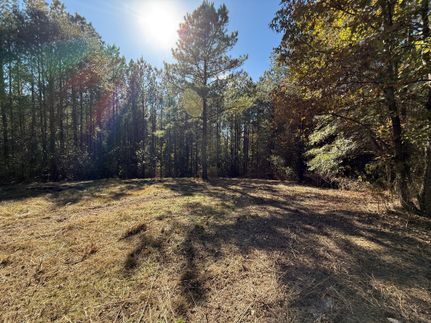 Timberland Property for sale in Blount County, Alabama