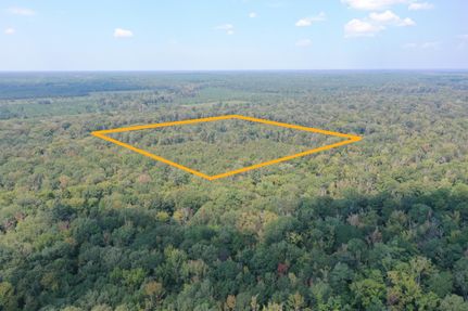 Timberland Property for sale in Bradley County, Arkansas