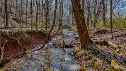 Property for sale in Floyd County, Georgia