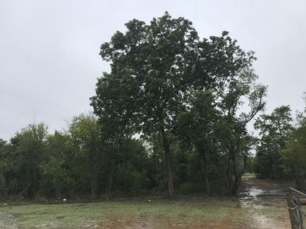 Farm Property for sale in Limestone County, Texas
