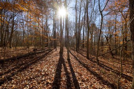 Timberland Property for sale in Meigs County, Ohio