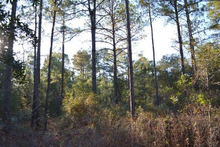 Property for sale in Emanuel County, Georgia