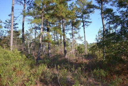Property for sale in Emanuel County, Georgia