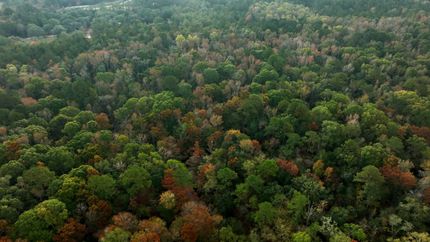 Property for sale in Bulloch County, Georgia