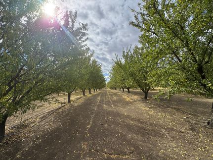 Farm Property for sale in Yolo County, California