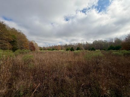Undeveloped Land for sale in Tallahatchie County, Mississippi