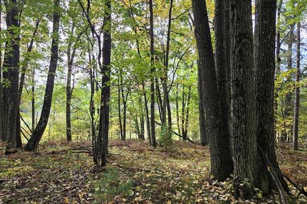 Farm Property for sale in Marinette County, Wisconsin