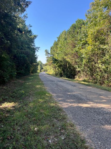 Hunting Land for sale in Union Parish, Louisiana