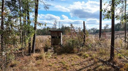 Ranch Property for sale in Smith County, Mississippi