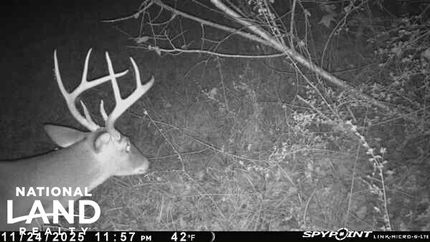 Property for sale in Dallas County, Alabama