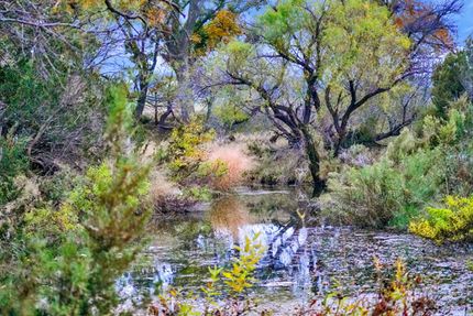 Timberland Property for sale in Tom Green County, Texas