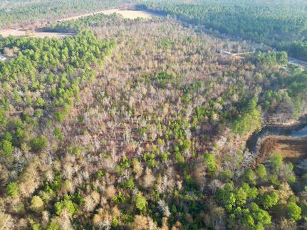 Undeveloped Land for sale in Barnwell County, South Carolina